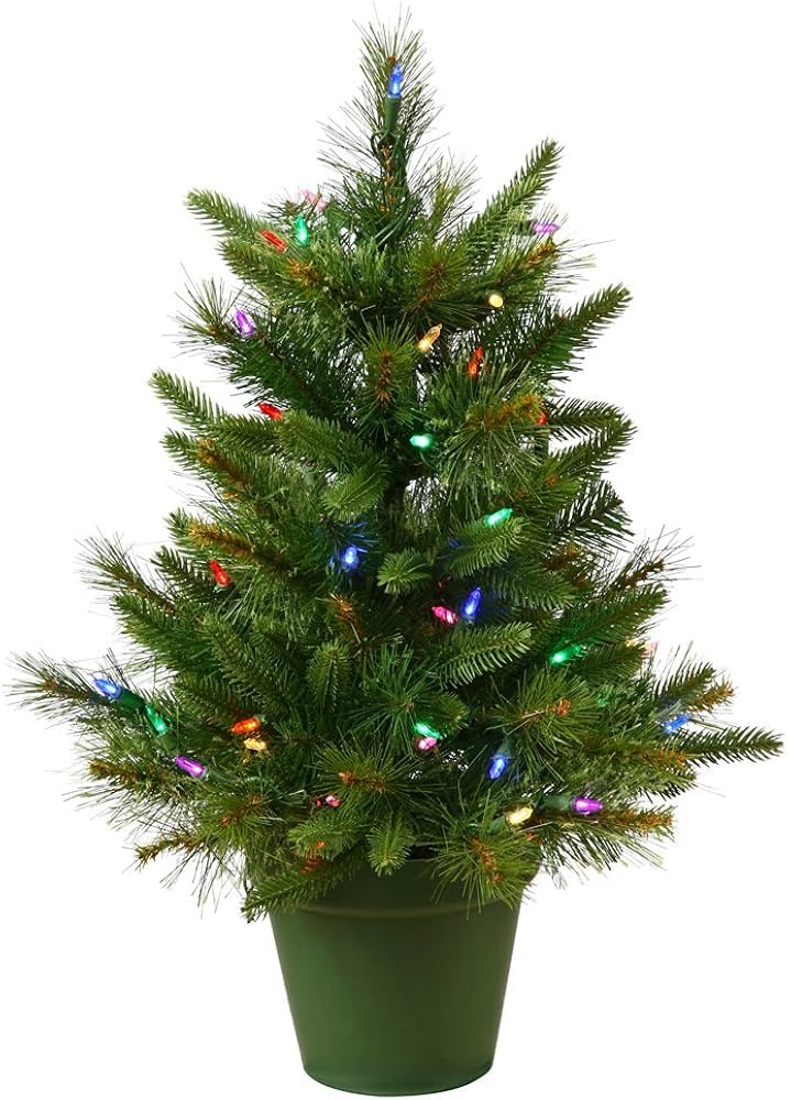 Amazon.com: Vickerman 24 Amazon.com: Vickerman 24